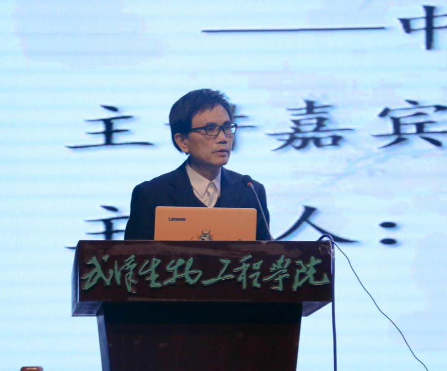 何新文