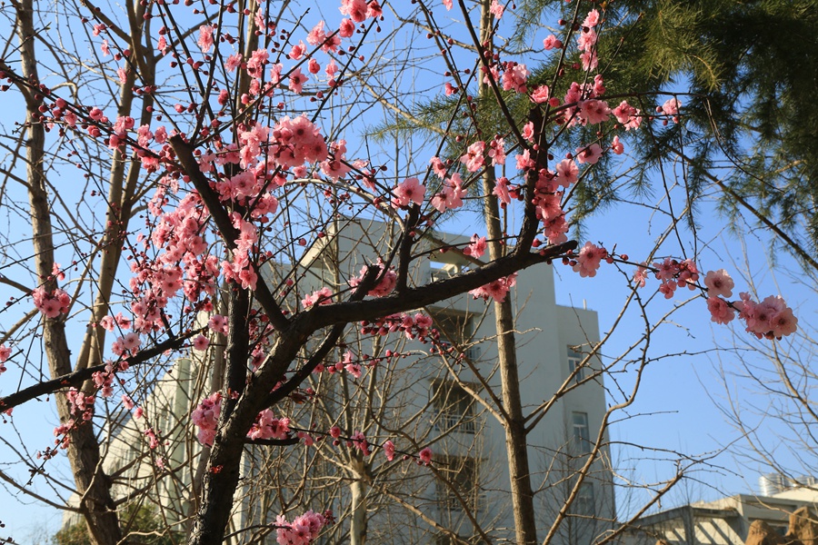 AA8A0482.jpg