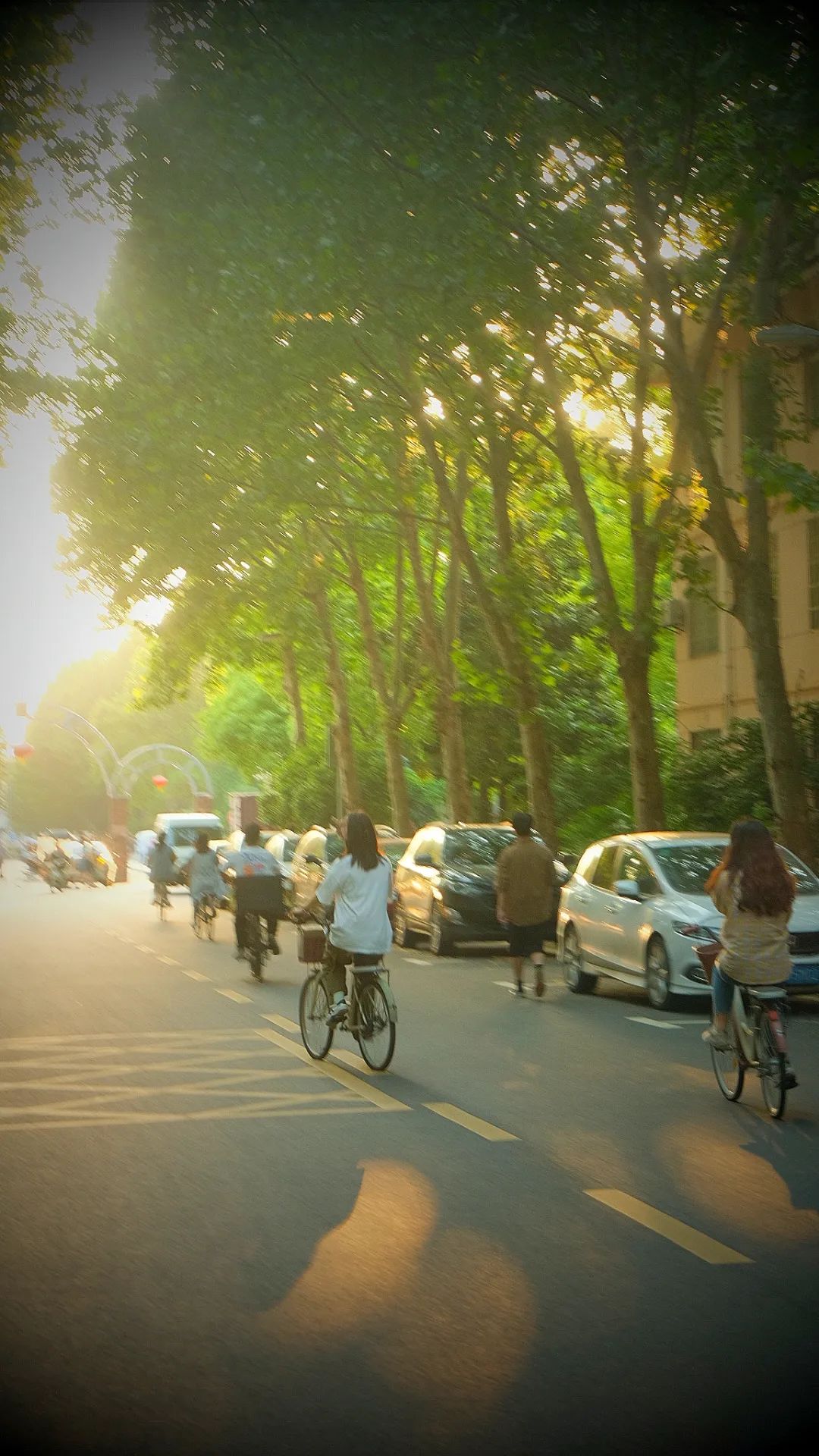 来！带你到武生院的校园里走一走，感受她的一年四季（多图）…