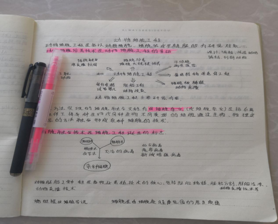 推迟开学不停学 我校学生在线享受-gai579.png