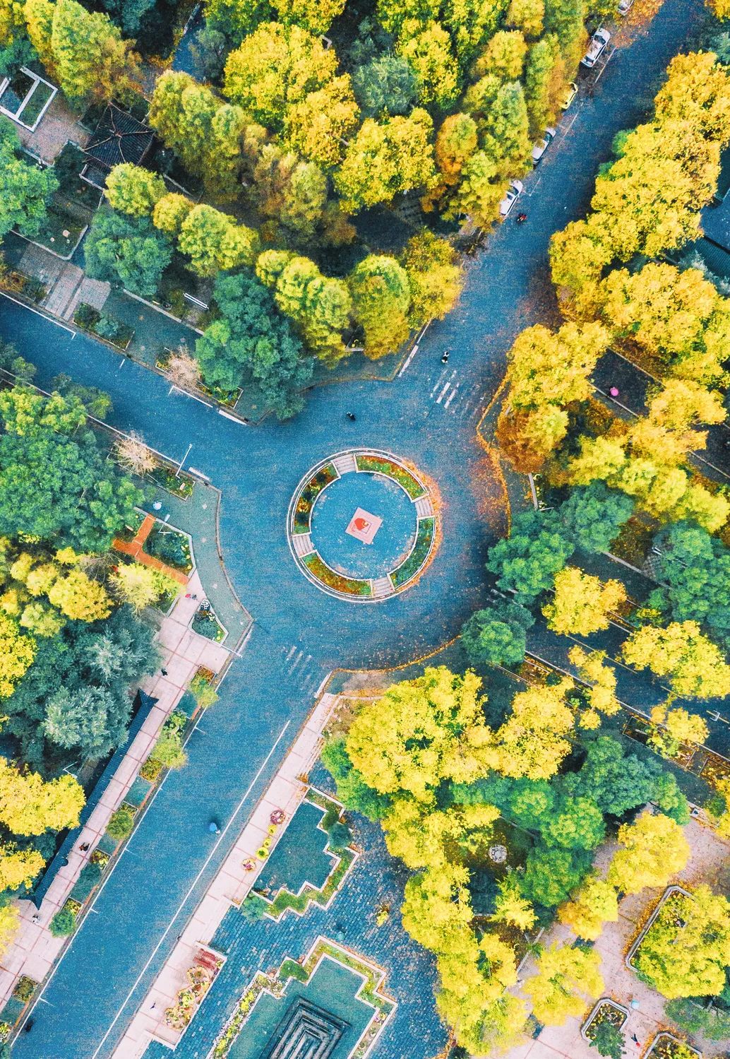 来！带你到武生院的校园里走一走，感受她的一年四季（多图）…