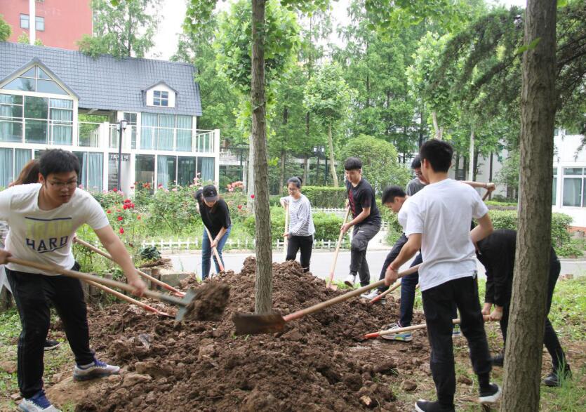 QQ截图20190504215108.jpg