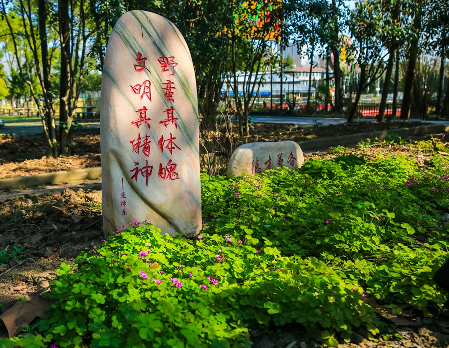 AA8A0419.jpg