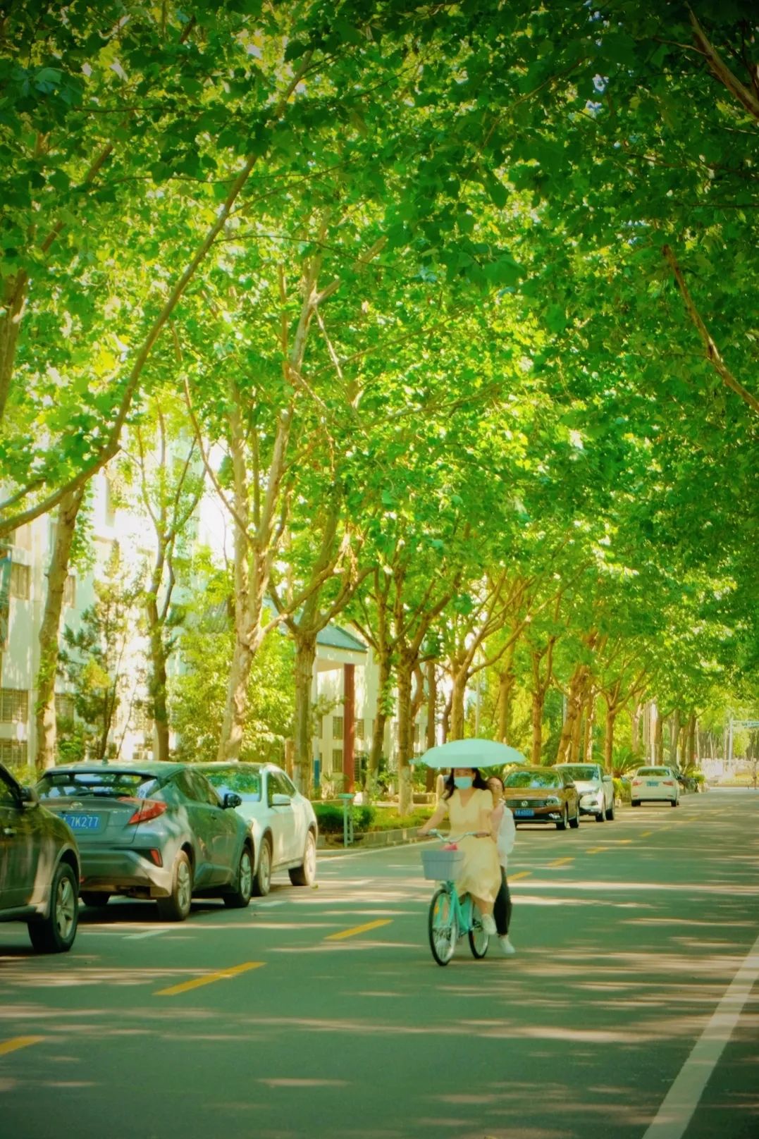 来！带你到武生院的校园里走一走，感受她的一年四季（多图）…