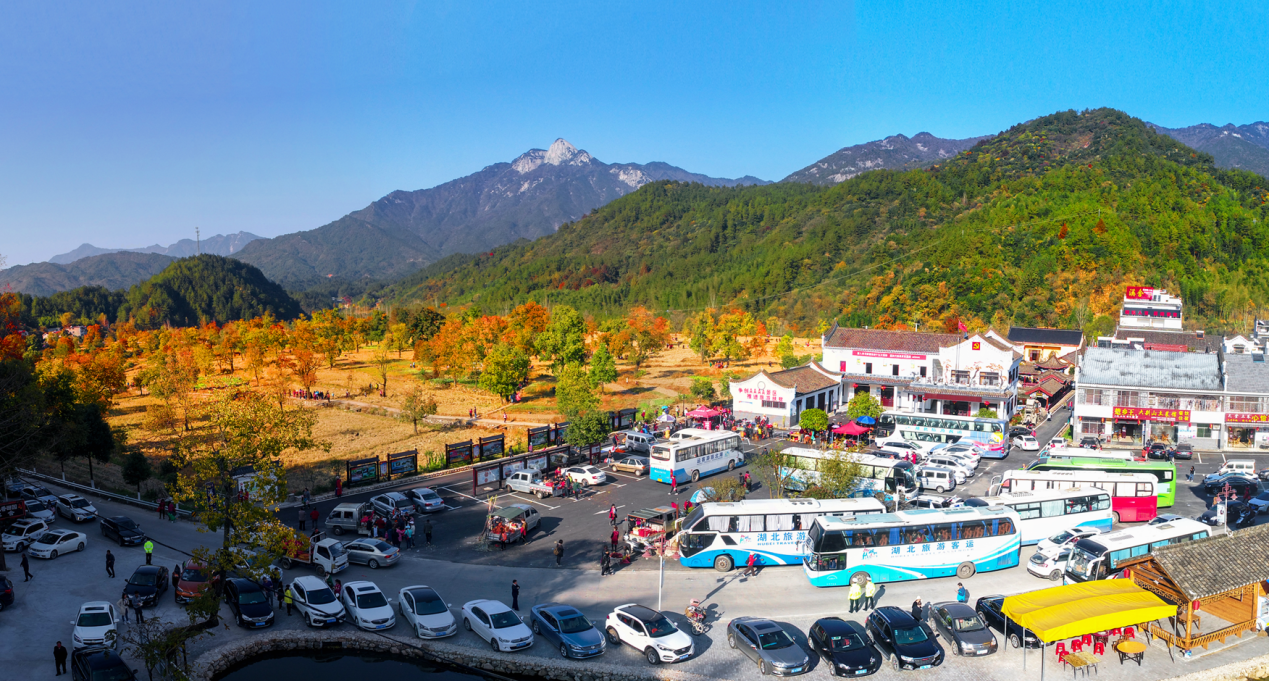 罗田县推行党员分类管理激活乡镇振兴红色动能 - 副本.docx