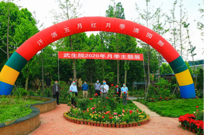 图片1.png 图片1.png