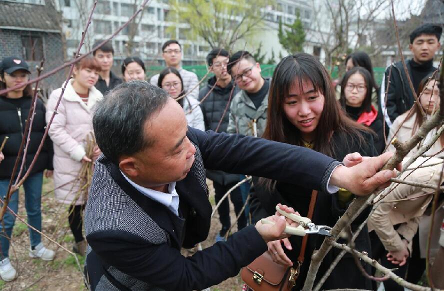 QQ截图20180309113315.jpg