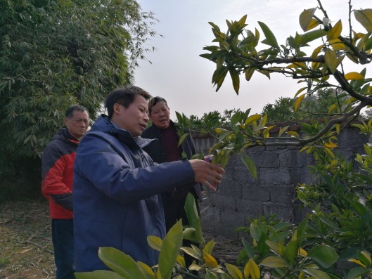 图片3.jpg