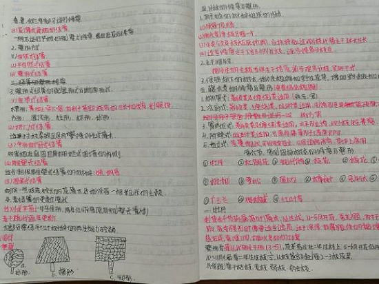图片3.png 图片3.png