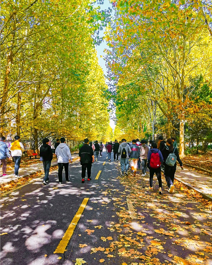 nEO_IMG_19 园林 赵映雪.jpg