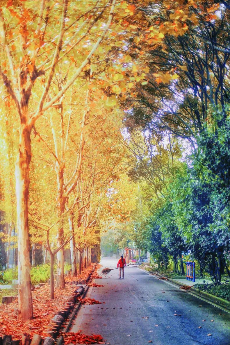 来！带你到武生院的校园里走一走，感受她的一年四季（多图）…