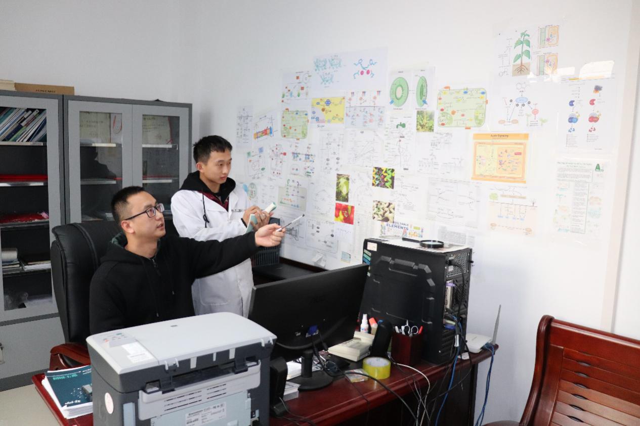图片2.jpg