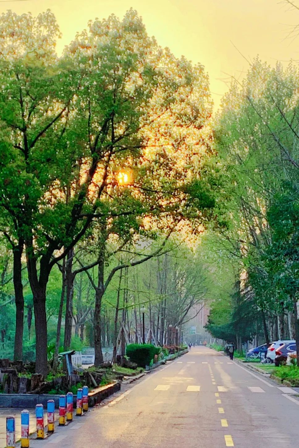 来！带你到武生院的校园里走一走，感受她的一年四季（多图）…