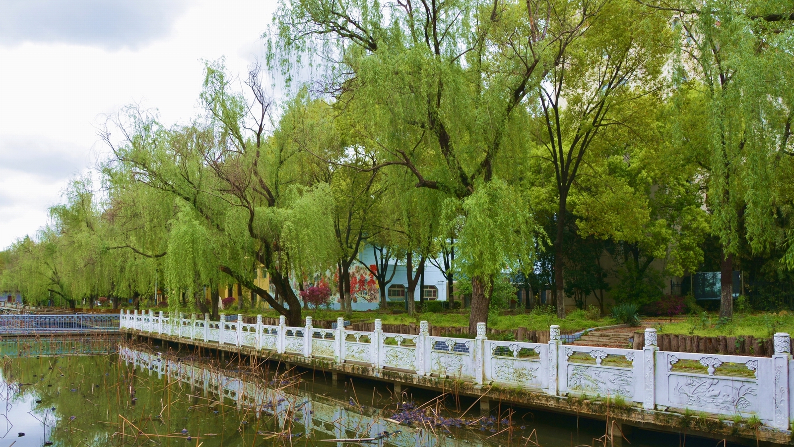 _DSC92881111.JPG