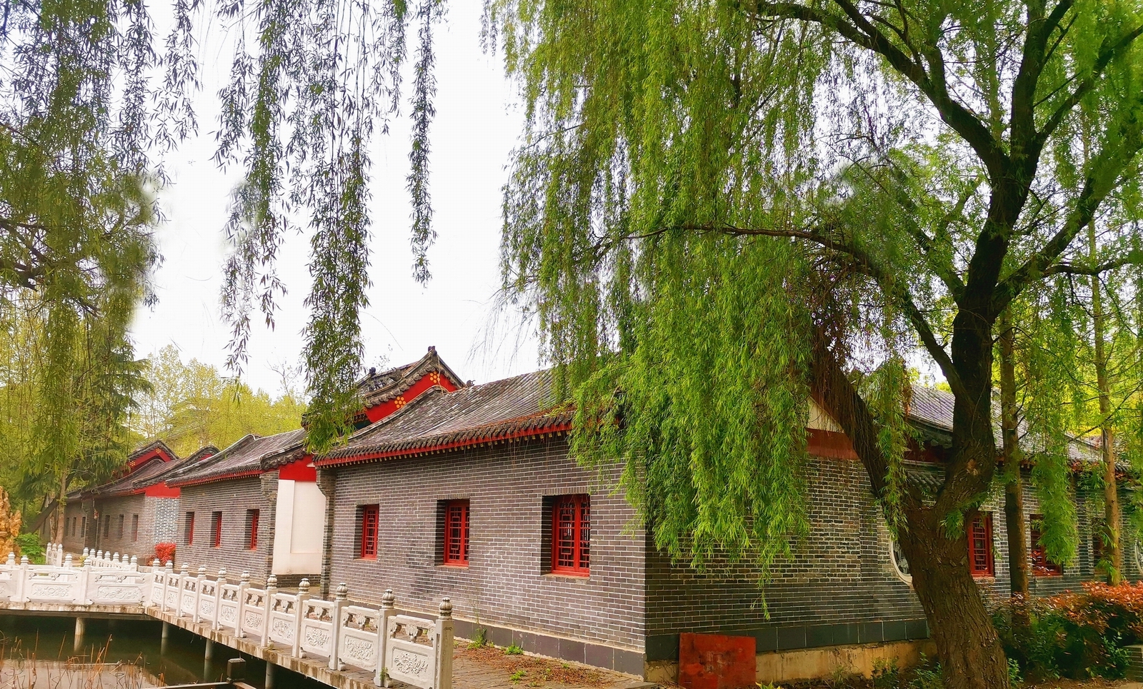 柳修1.jpg
