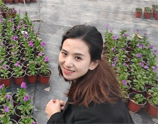 洪斌
