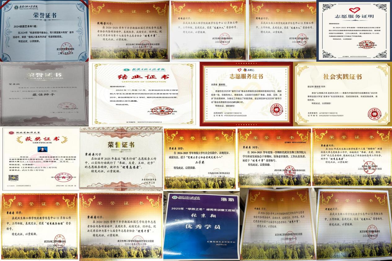 image3.jpeg
