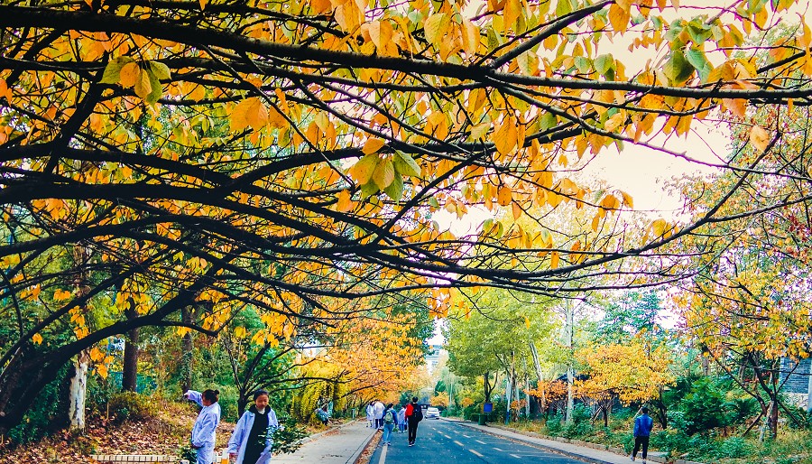 nEO_IMG_摄制部  刘晓芳 .jpg