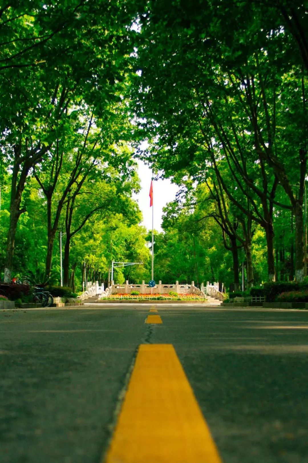 来！带你到武生院的校园里走一走，感受她的一年四季（多图）…