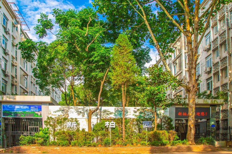 新柏园.jpg