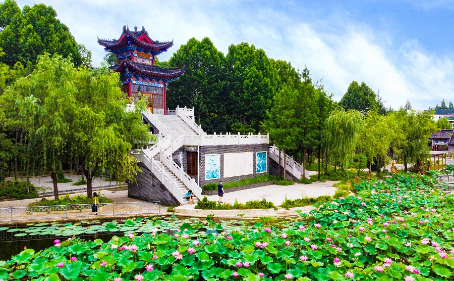 nEO_IMG_夏荷 (1).jpg