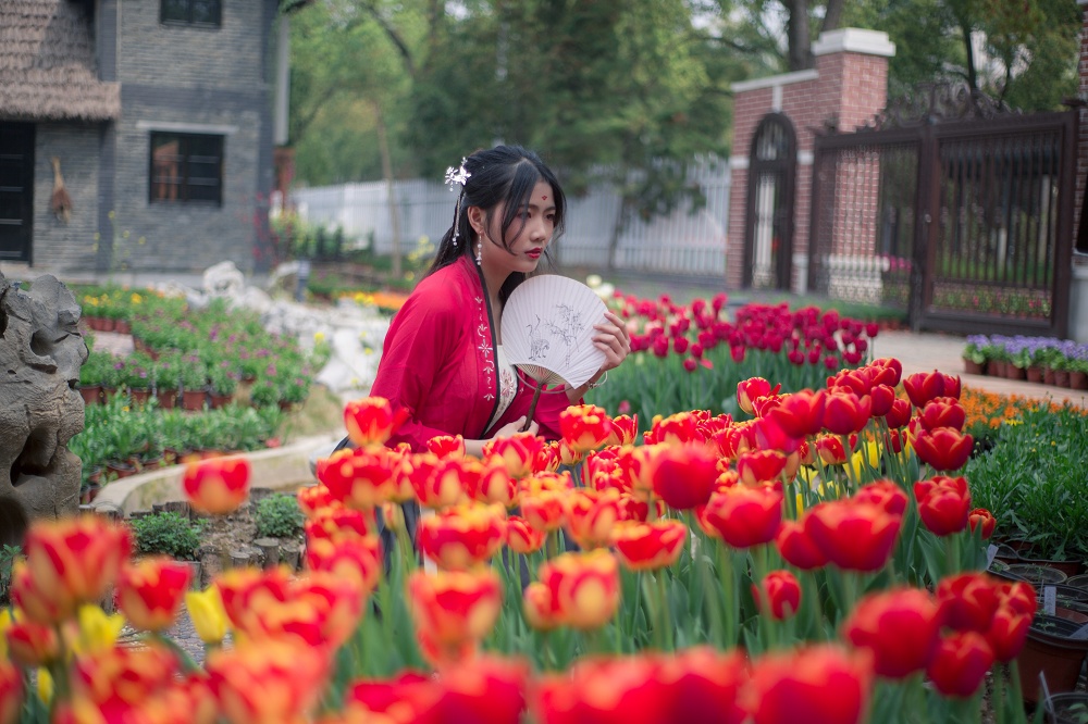 郁金香 (2)_nEO_IMG.jpg