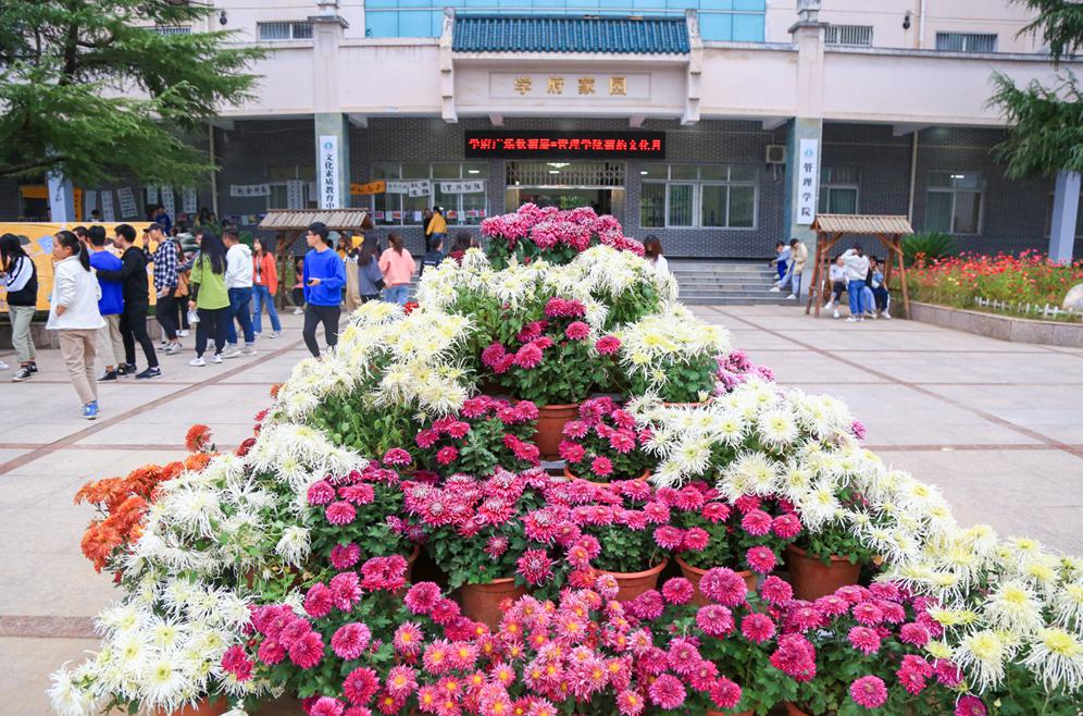 图片105.jpg