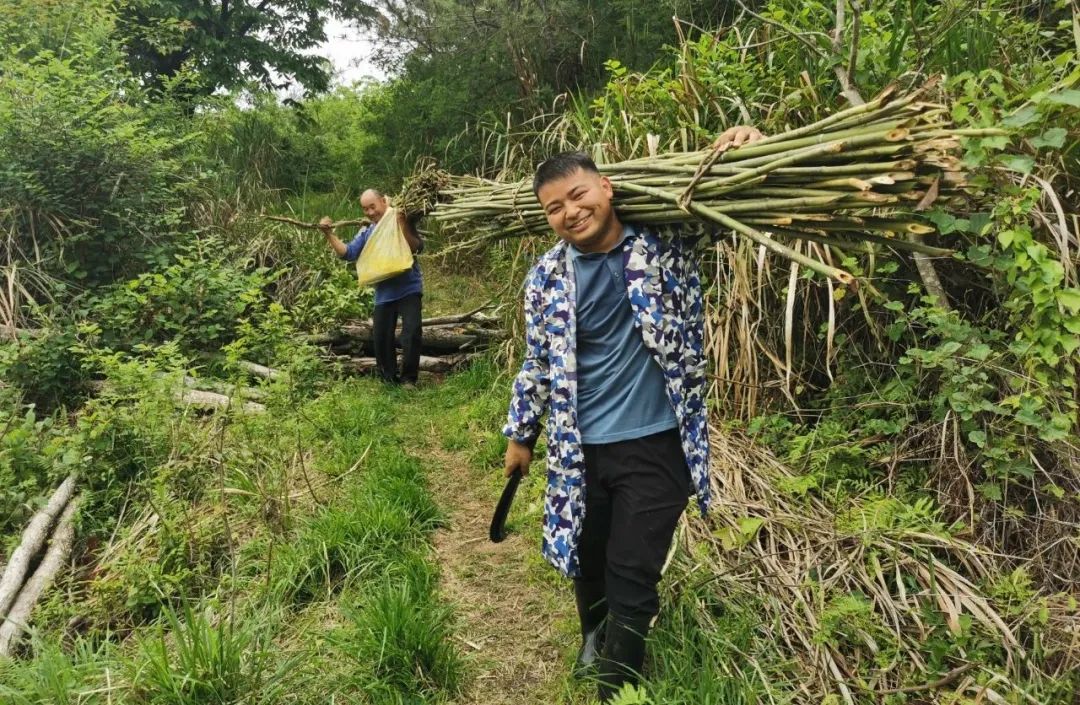 罗田县推行党员分类管理激活乡镇振兴红色动能 - 副本.docx
