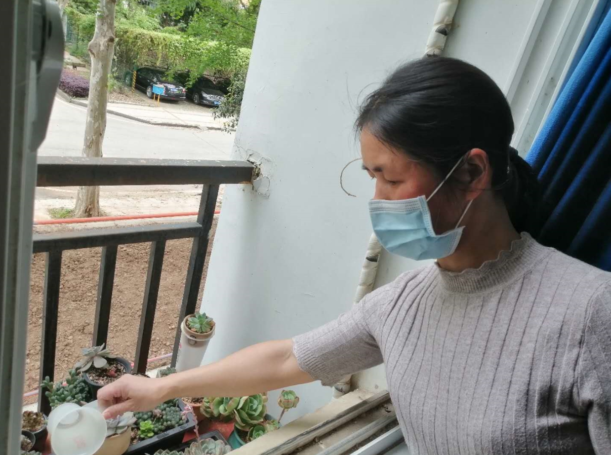 图形2.jpg
