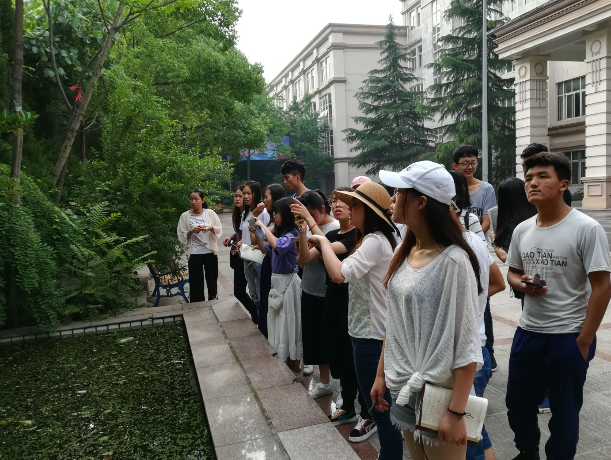 QQ图片20180529142025.png
