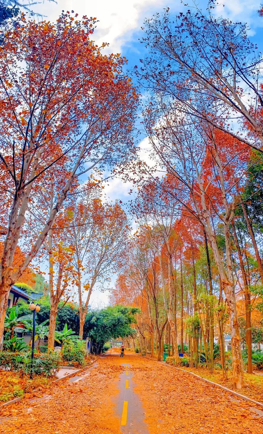 来！带你到武生院的校园里走一走，感受她的一年四季（多图）…