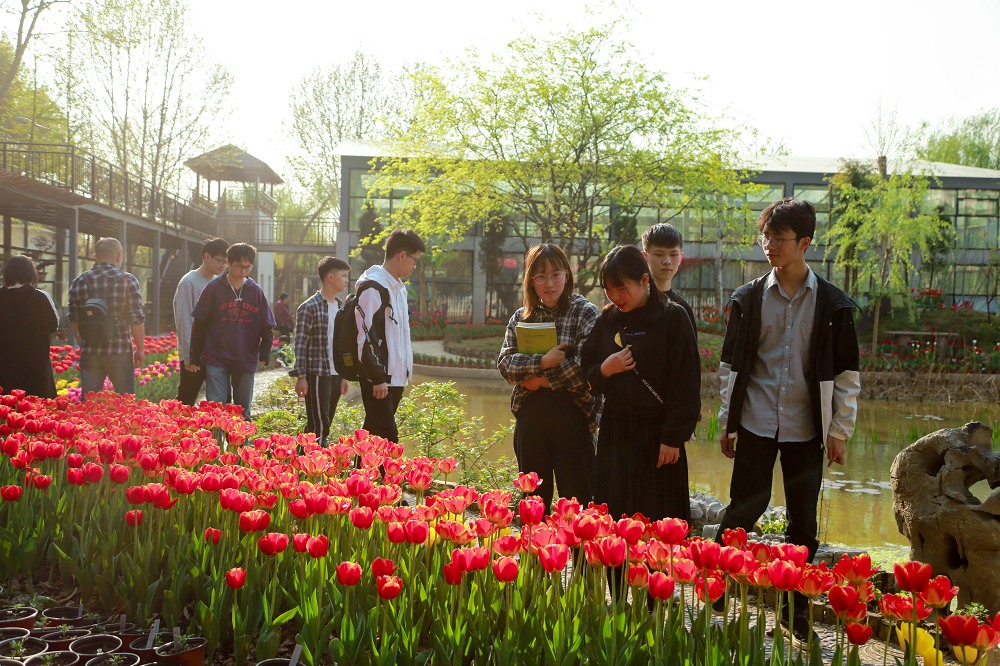 郁金香 (7)_nEO_IMG.jpg