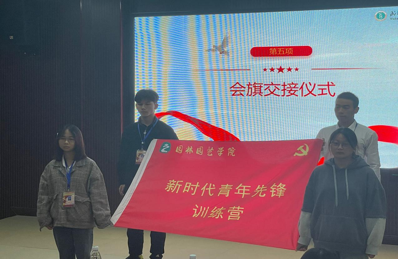 图片10.png