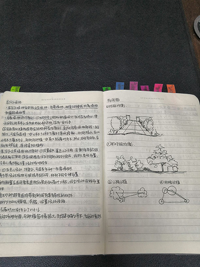 图片1.png 图片1.png
