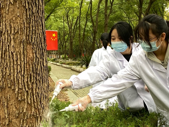 点击查看高清原图