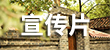宣传册